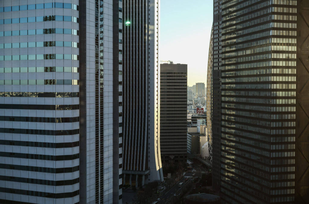 画像に alt 属性が指定されていません。ファイル名: L1000249-1024x677.jpg