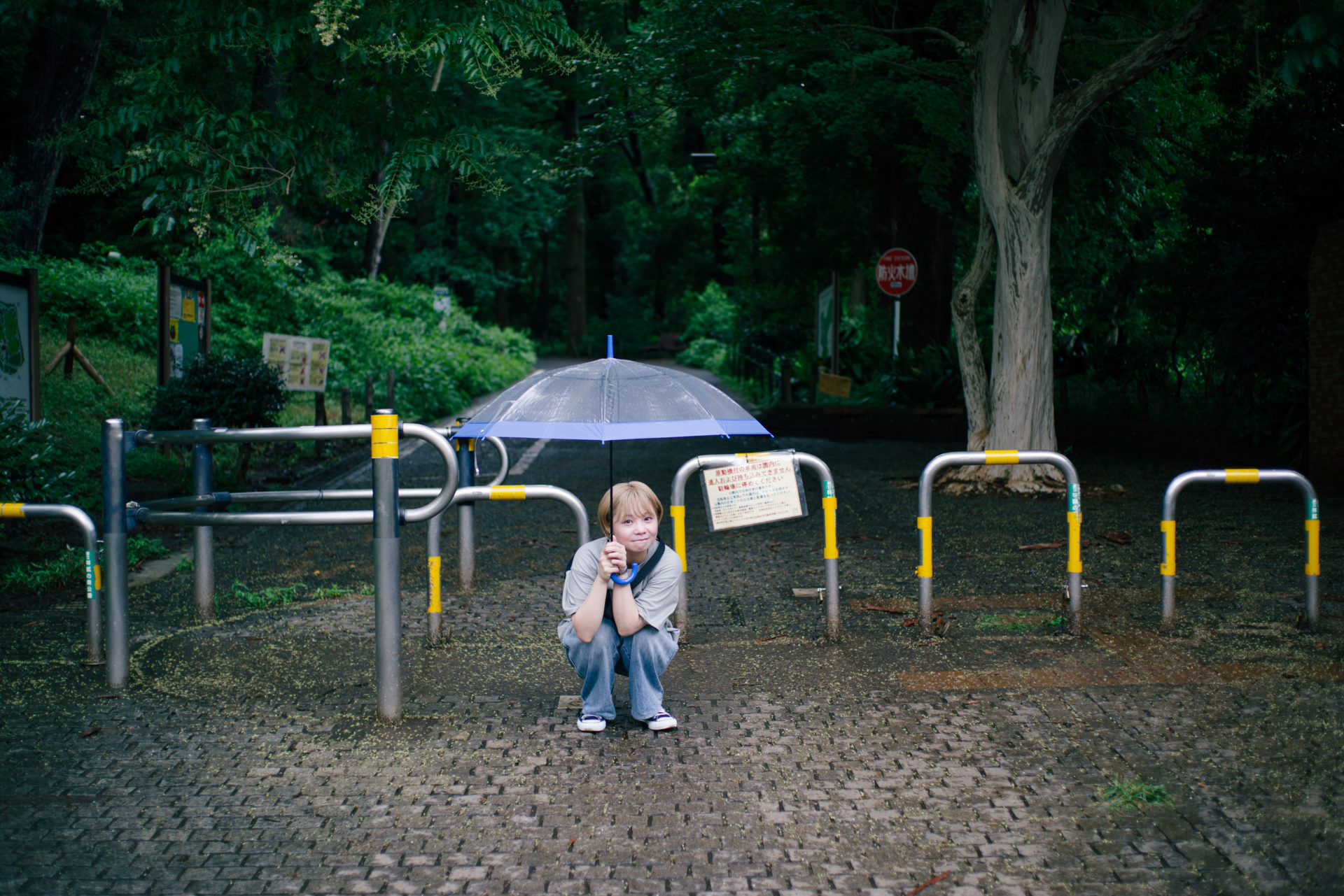 東京さんぽみち【第8回：学芸大学〜中編〜】 | MARSH（マーシュ）