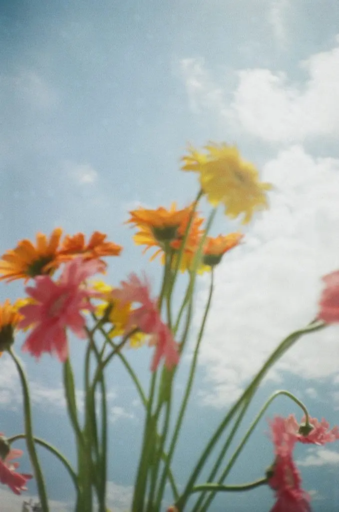 世界はこんなに美しいからカメラを持って出かけよう 〜 第15回：CHINON