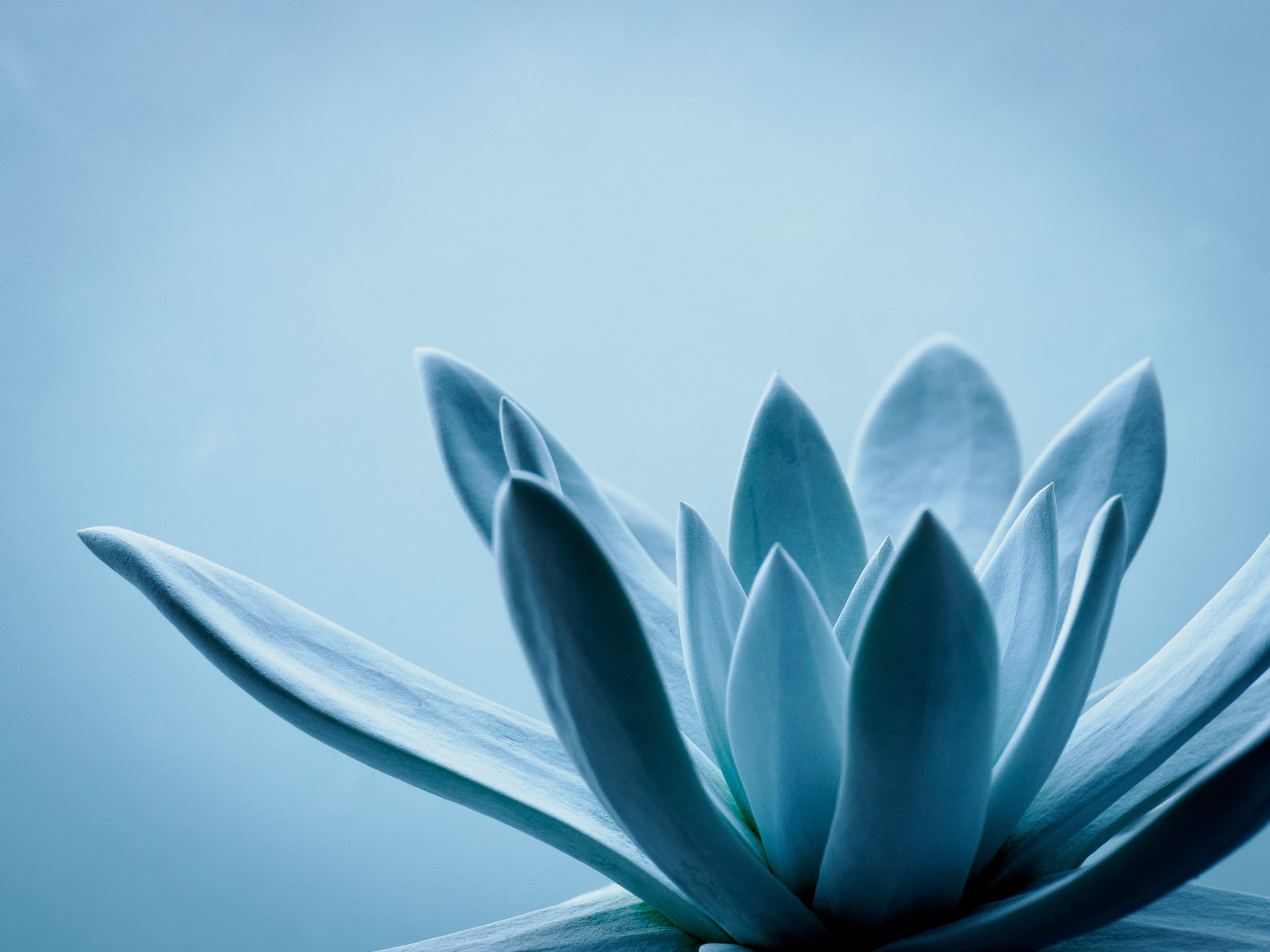 M.ZUIKO DIGITAL ED 90mm F3.5 Macro IS PROレビュー（OM SYSTEM）by 相澤義和さん | MARSH（マーシュ）