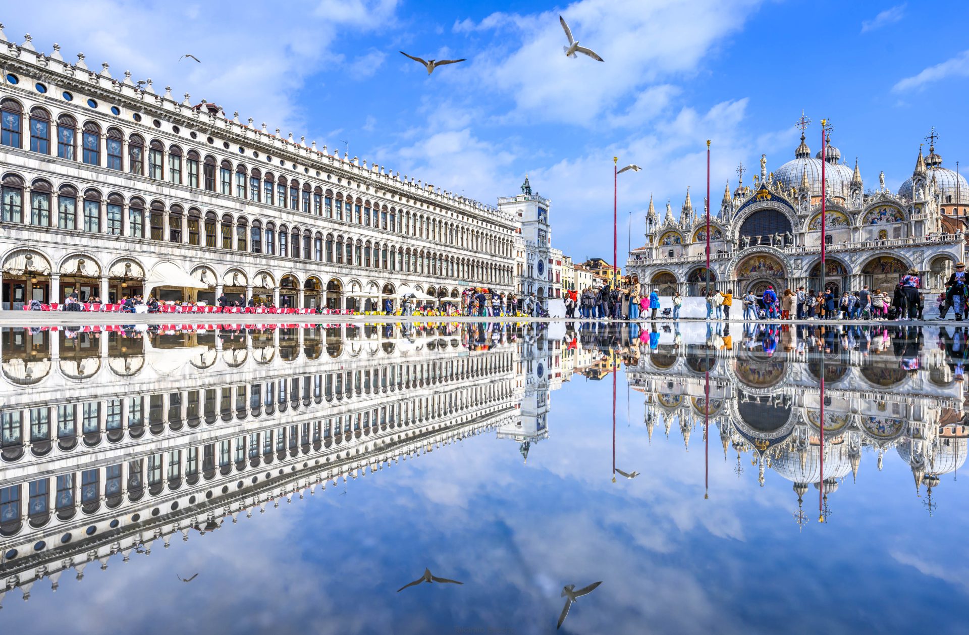 日本風景8 Nikon Z 8 大解剖（5）：「そこに愛はあるんか？」（あるいはカメラを