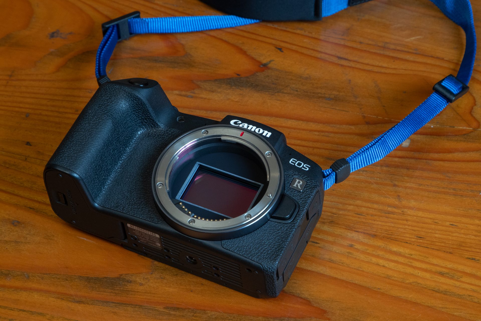 Canon EOS RP ミラーレスカメラ 本体とストラップ Canon EOS RP 実写レビュー｜カメラ・シーン～Scenes through camera