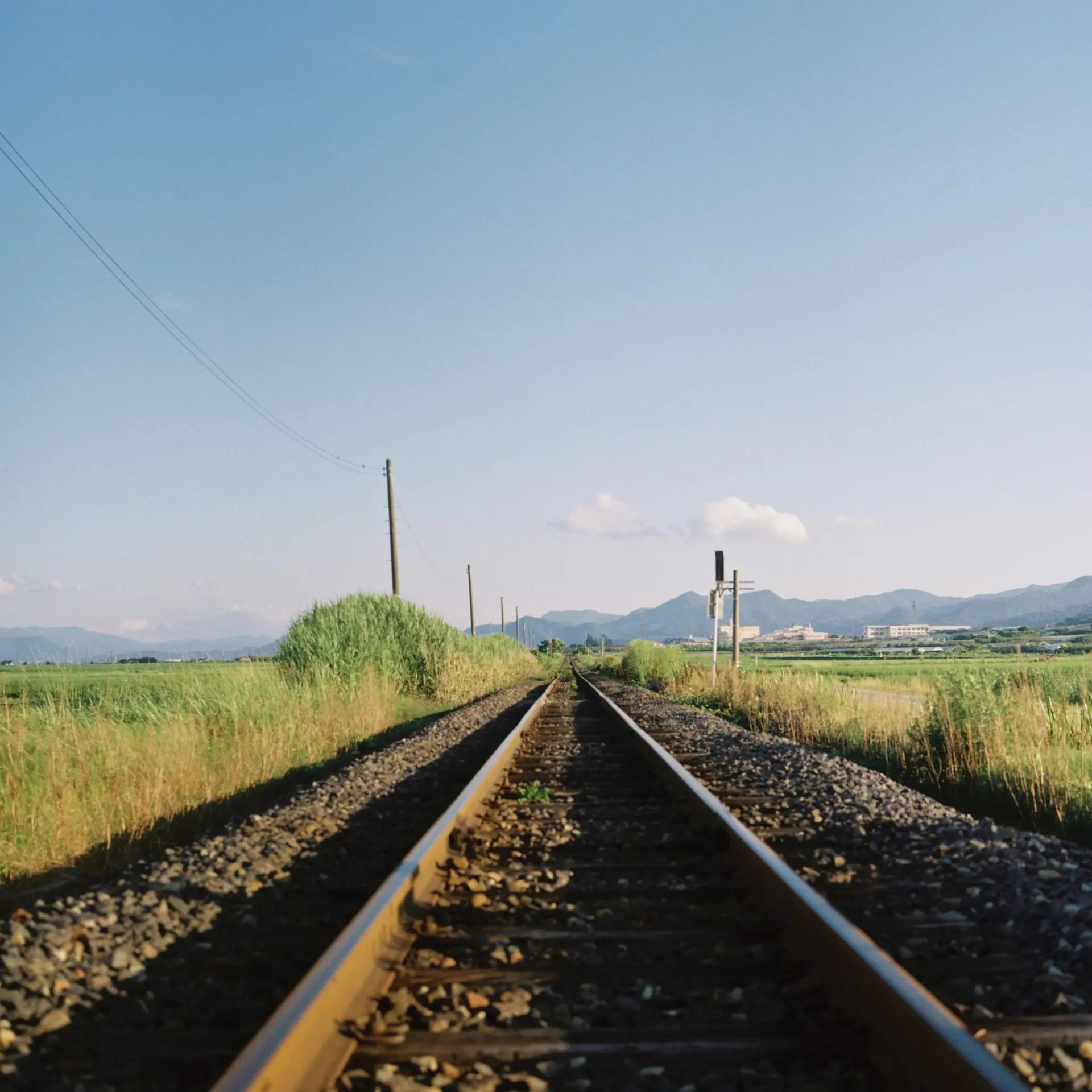 言の葉さんの奥様ヌード 田舎者写真日記【第六回：言の葉の森】 2ページ目 | Page 2 of 5 2ページ目 | MARSH（マーシュ）