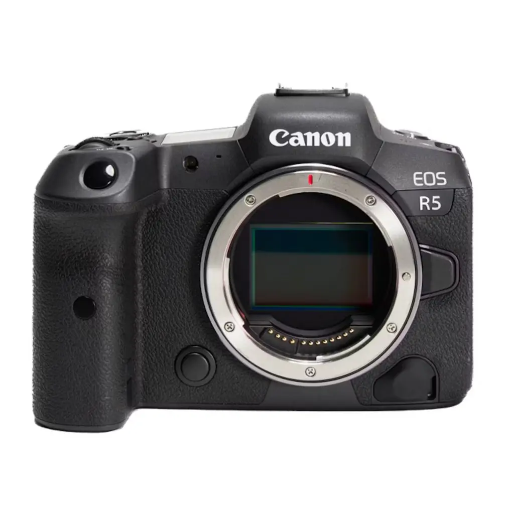 Canon EOS R5実写レビュー｜カメラ・シーン～Scenes through camera