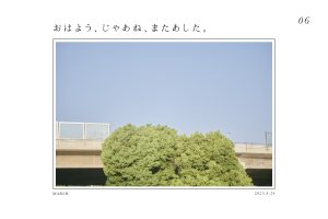 おはよう、じゃあね、またあした。「ゴミと花を並べても僕には同等の存在」