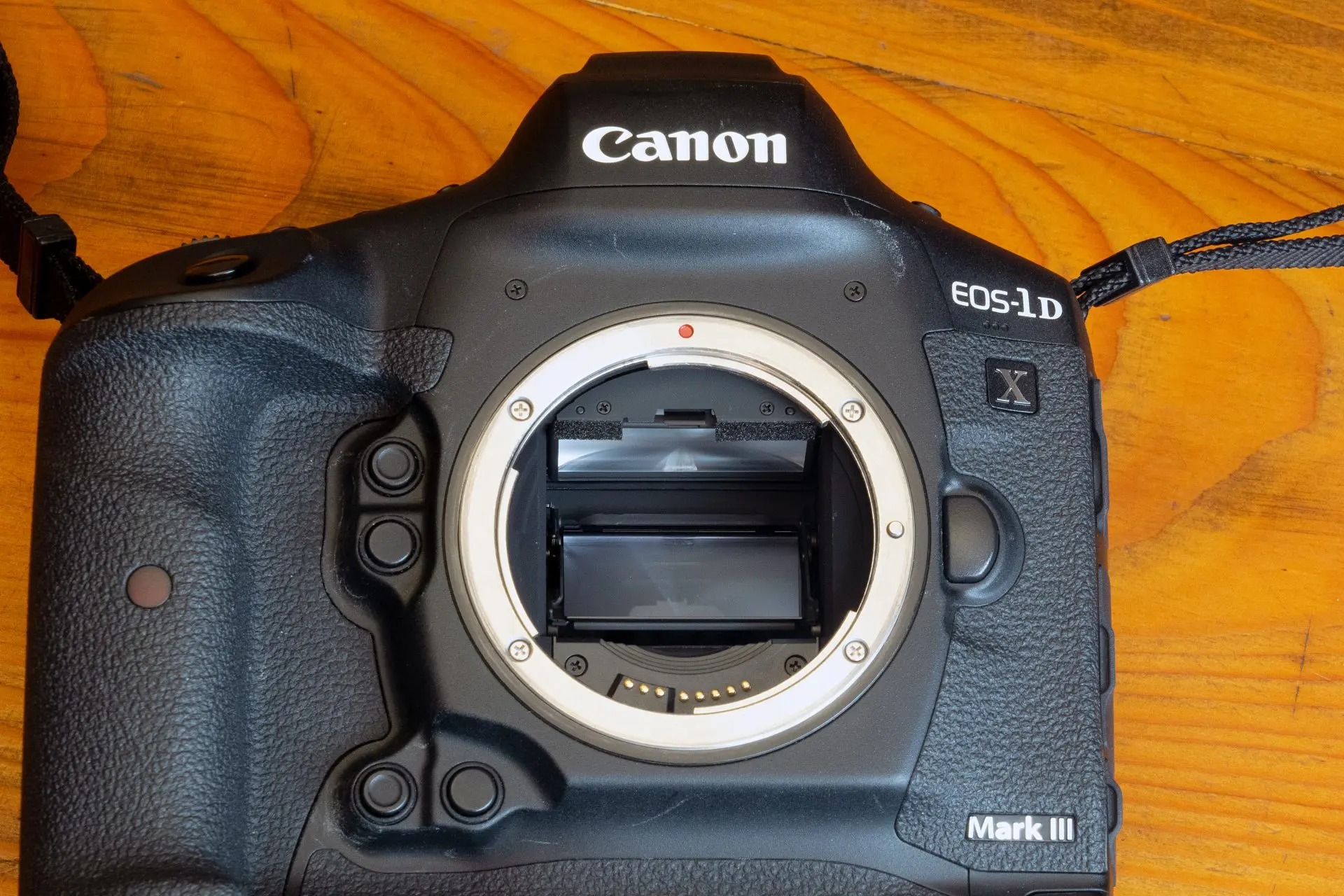 カメラ・シーン～Scenes through camera lenses～【19】リングサイドで