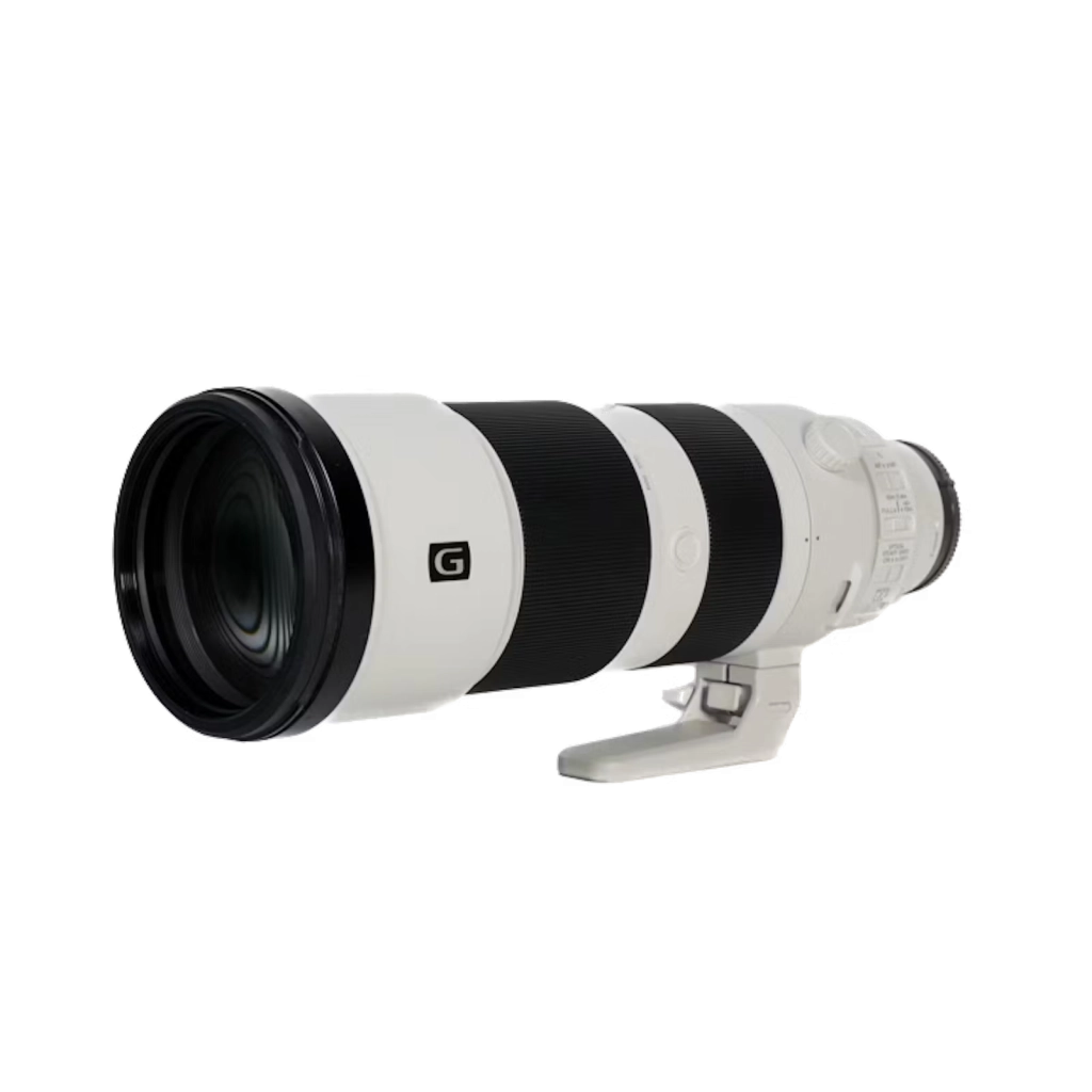 SONY FE 200-600mm F5.6-6.3 G OSS実写レビュー｜
