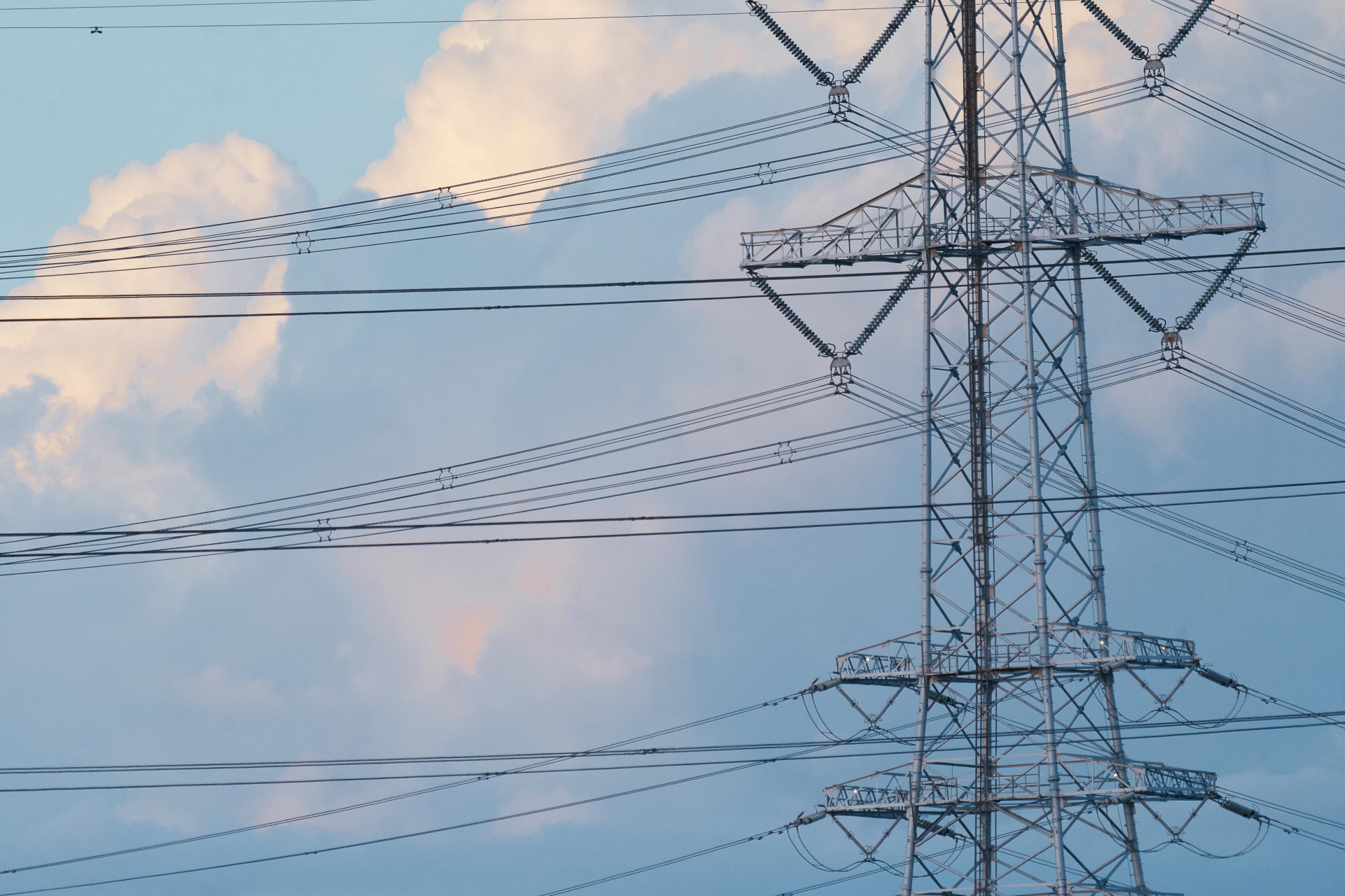 SONY FE 200-600mm F5.6-6.3 G OSS実写レビュー｜